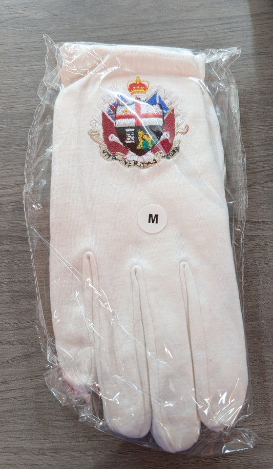 Apprentice Boys Gloves