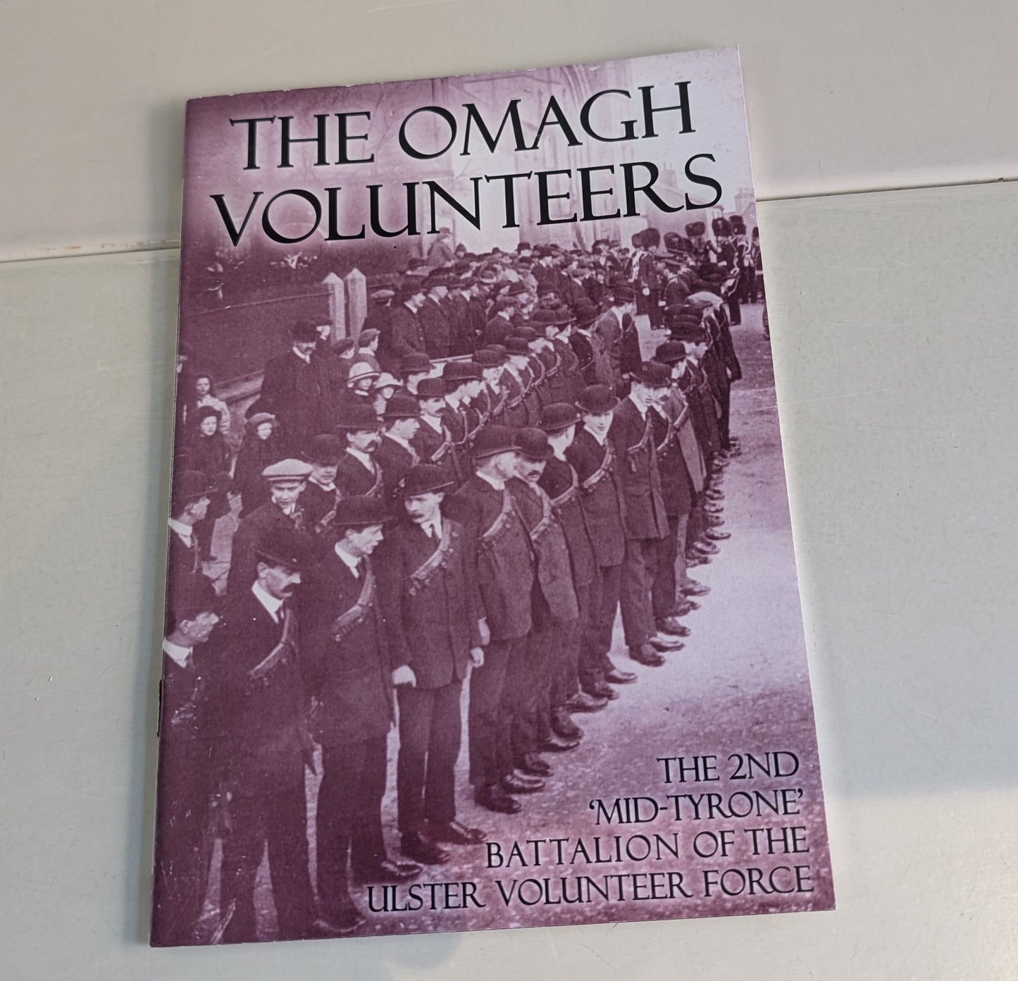The Omagh volunteers