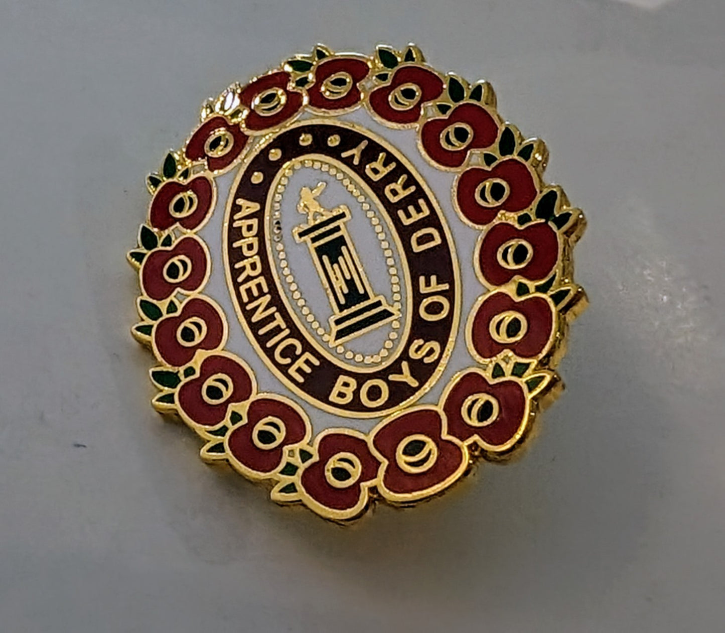 Appreciate boys of Derry pin badge