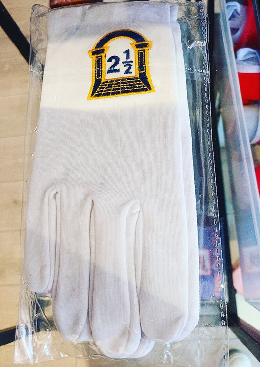 Arch purple Gloves